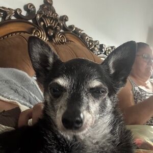 Meet your Posher, Jocelyn